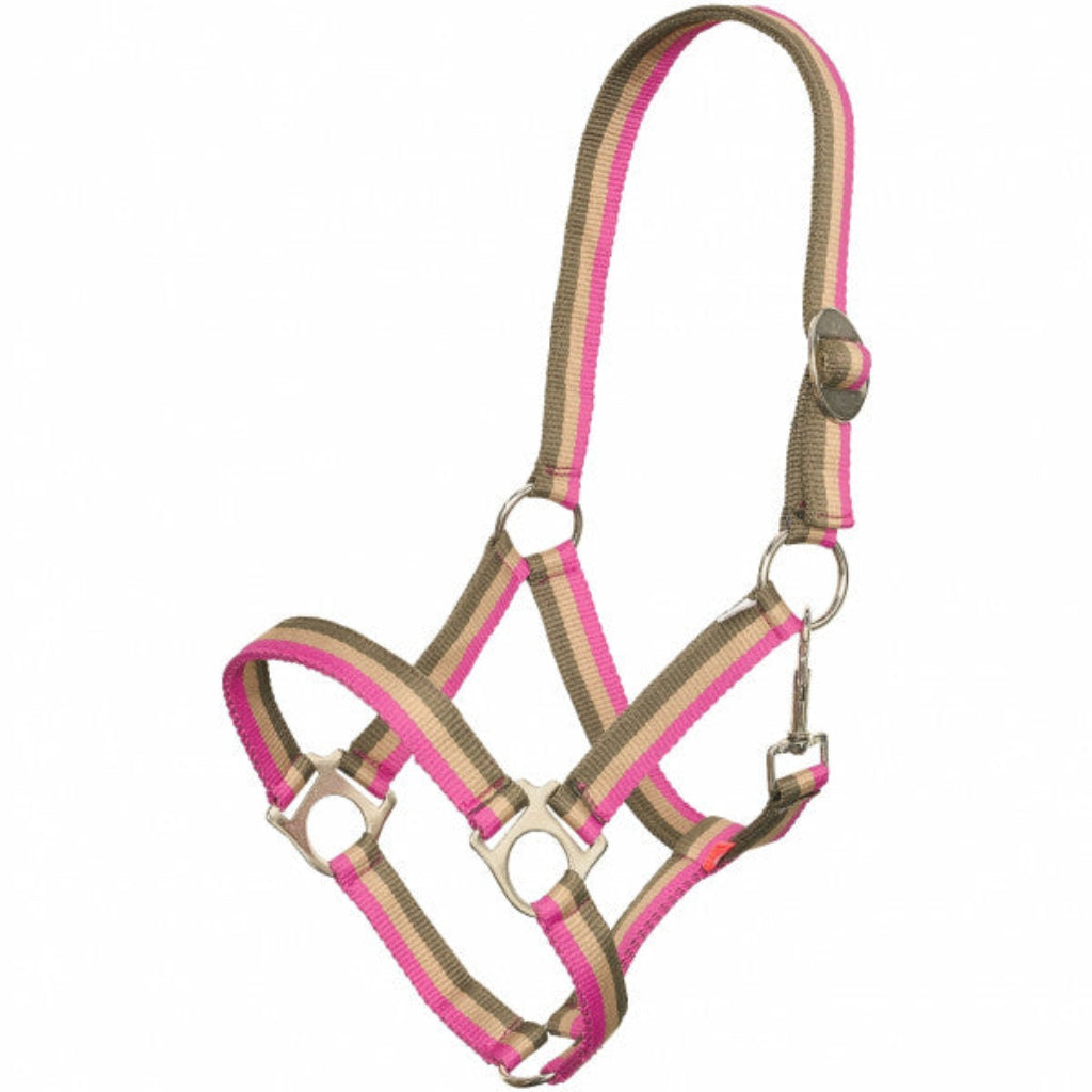 Imperial Riding Halster IRHEconomic Multi Flower Link
