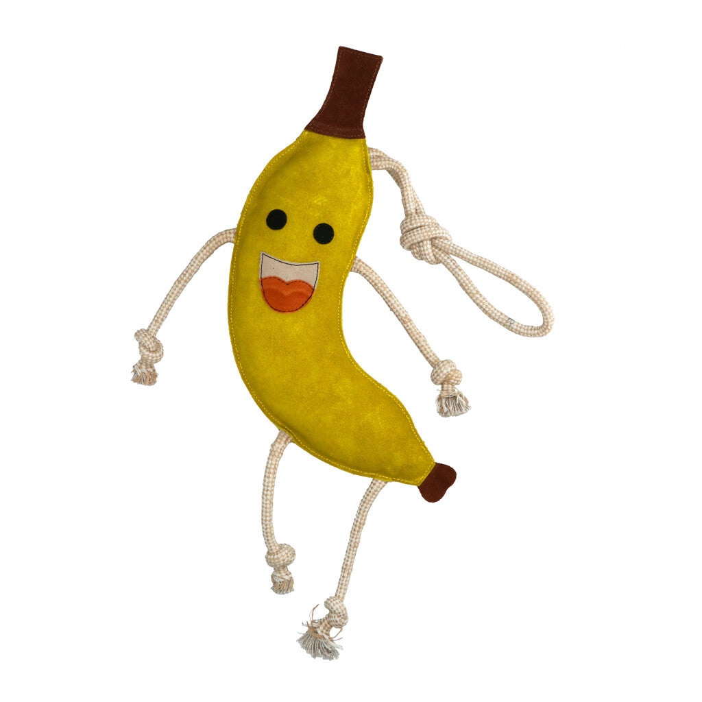 Excellent Horse Foodie Friends Banana