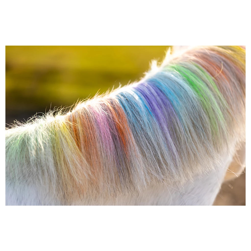Lucky Horse Unicorn Regenboog Kleurkrijt