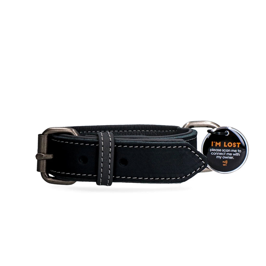 Spotted! Pro Leren Halsband Zwart