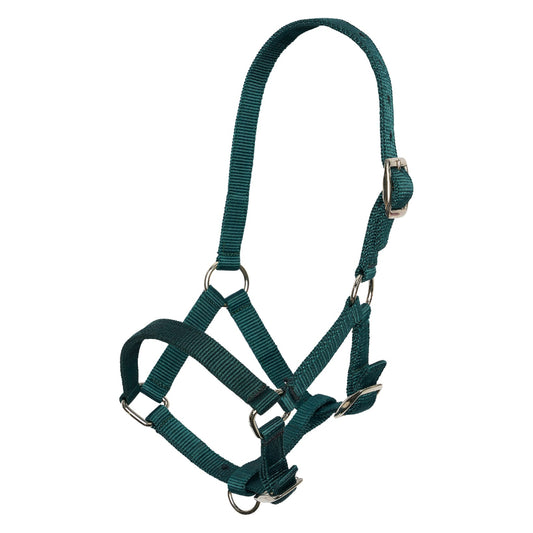 Imperial Riding Halster nylon veulen Forest Green