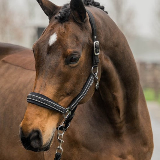 Horka - Halster Set EP Crystal & Pearls - Zwart - Pony