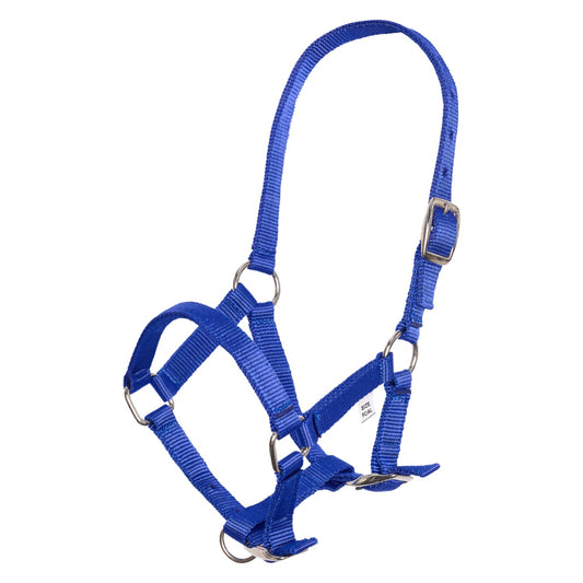 Imperial Riding Halster nylon veulen Donker Blauw